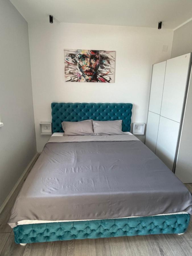 Apartmani Borova 2 Veliko Gradište 外观 照片